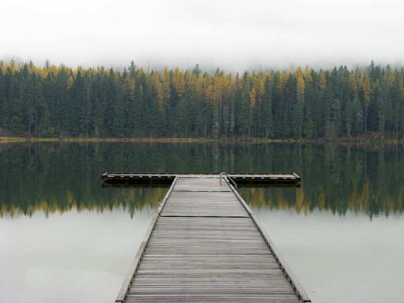 Dock Construction in Denver, CO